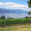 The view from Arrowleaf Cellars in Lake Country, just beautiful!